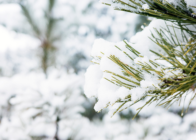 冬天、下雪、寒冷-康興醫(yī)療器械官網(wǎng)